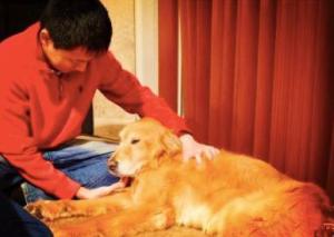 感动故事盘点：那些让人心动的瞬间令人深受感动的故事