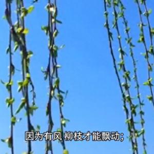 情感语录金典语录
