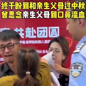 感人的人间故事