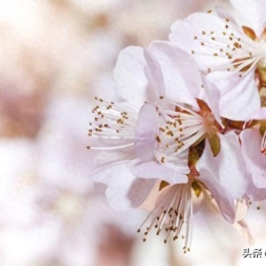 友谊，不单单是友谊