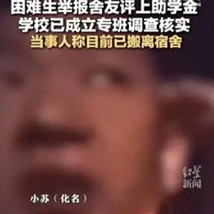 感人故事：一位勇敢求助者的真挚呼吁