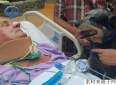 瘫痪主人有忠犬相伴，感人故事让人泪目