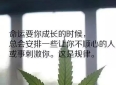 十句人生哲理，句句看破人生，精辟到无人反驳