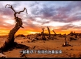 【情感故事】一个让人感动落泪的爱情故事