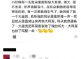 意外中的惊喜与希望：现实中那些让人感动的“因祸得福”故事