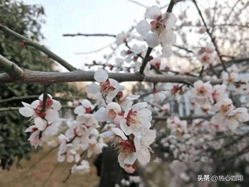 震撼心灵！人生感悟美文，读完瞬间领悟人生真谛！