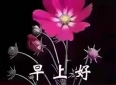 友情，我珍惜；朋友，我在意！