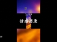 最暖人心的情感语录，赶紧收藏