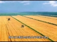 我与她之间的感人故事（一）