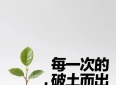 你听过最励志的一句名言是什么？这5句话改变了无数人的命运