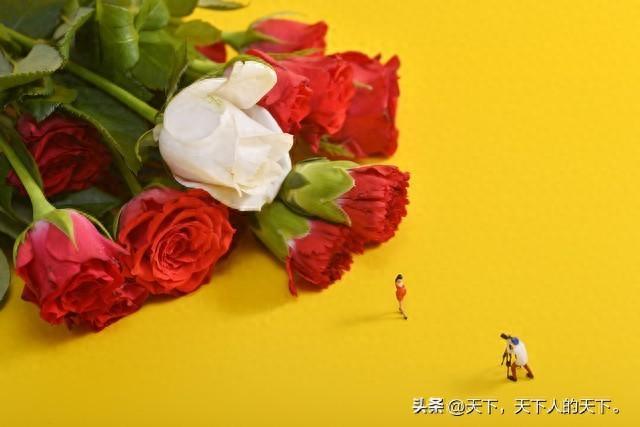 那些藏在深夜里的爱情，你敢看吗？