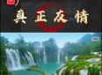 真正的友情。