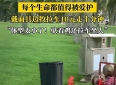 “你再也不是赚钱工具了！”上海女生远赴千里解救，全网心疼的故事有后续了