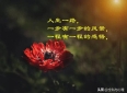 触动人心的人生感悟语录，句句令人大彻大悟的哲理句子