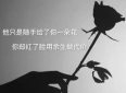 二十句经典情感语录，经历的人都能懂