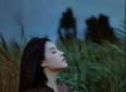 12句经典情感语录短句