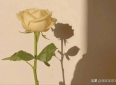 超治愈的10句情感语录，句句暖心，建议收藏
