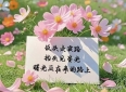 超走心的高级情感语录，火爆情感图文，适合发朋友圈