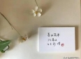 爱已成往事，情却难了:两性关系的深情独白