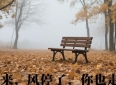 那些触动心灵的情感语录，总有一句说中你