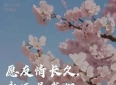 《友情，是生命中的无价之宝》