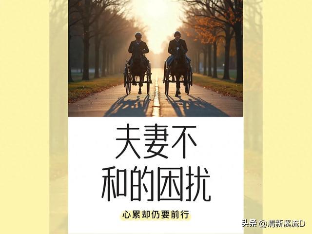 句句情感共鸣情感关系