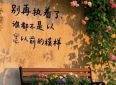 超级经典的情感共鸣语录，触动心灵