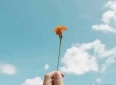 超级经典的积极正能量的情感语录