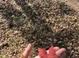 谁懂啊！这 10 句爱情文案太戳心