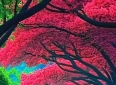 友情真的能一生不变吗？经历时间考验，谁才是你最值得信赖的人？