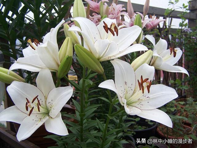 朋友关系变淡别慌！做好这3件小事，友情反而更长久