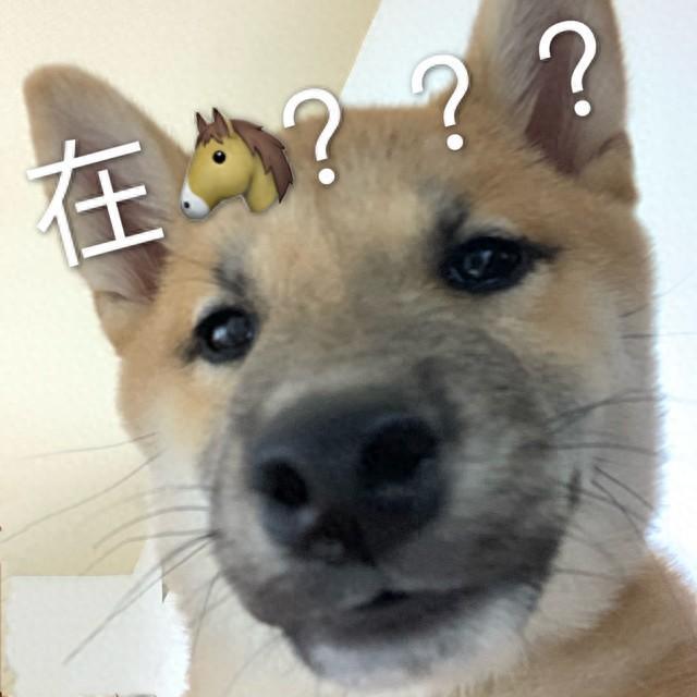 舔狗日记：当代爱情里的一厢情愿
