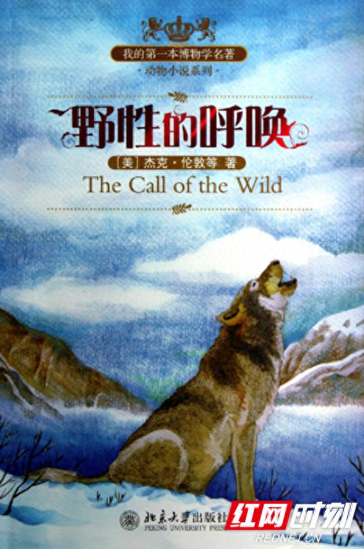 书香中南丨《野性的呼唤》读后感——生命真谛与灵魂归处的双重奏