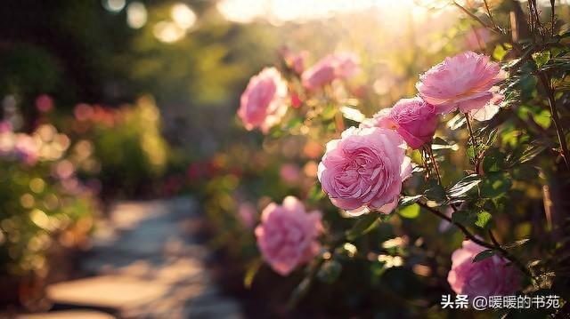 句句哲理，句句深刻，够你发一辈子的顶级文案