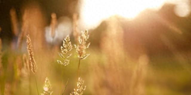 27句充满哲理的人生金句，句句走心：句句通透