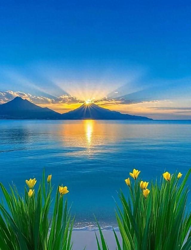 人生感悟：20句暖心励志短句，驱散迷茫，照亮前路