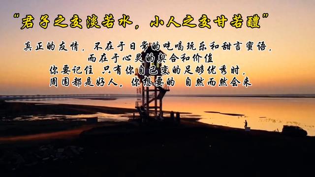 真正的友情，不只是甜言蜜语，而是心灵的契合与价值的共鸣。