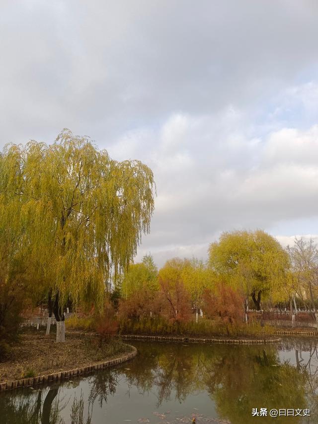 一篇救命的文章