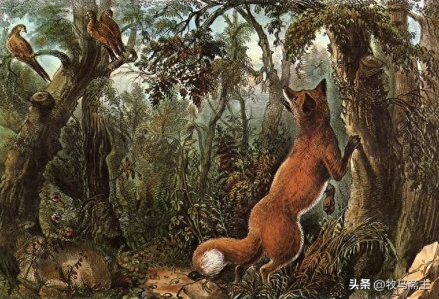 哲理风：狐狸与乌鸦的新故事