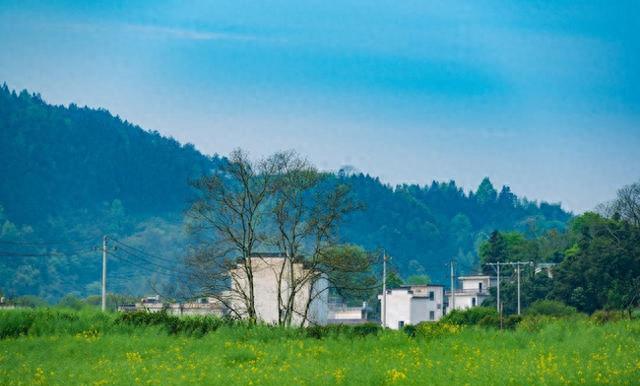 10句经典哲学语录，读后令人醍醐灌顶