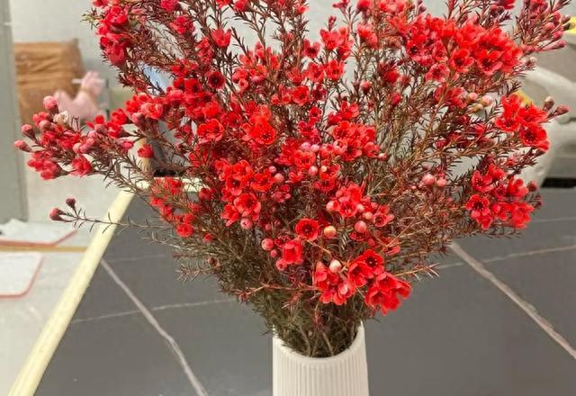 不管多大仇，兄弟姐妹翻脸后，守住这3个底线，才是最大的智慧