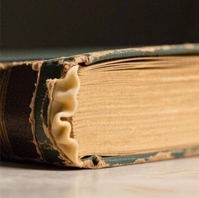 我们翻遍217本“爱情语录”发现最动人的那句与你有关皆是浪漫: