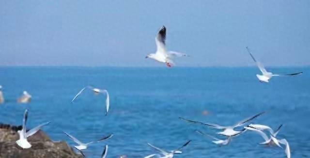 和100对分手情侣聊过才懂：99%的爱情，死在“得寸进尺”里