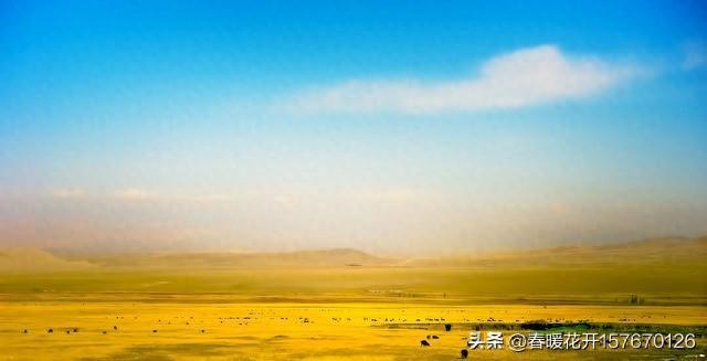 深刻两性对话：成年人的情感底色，原来都藏在细节里