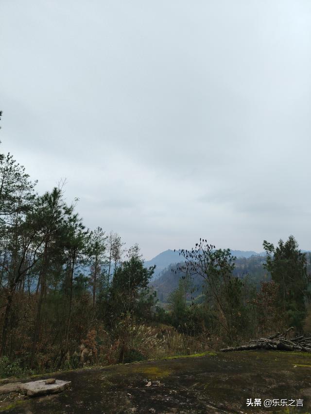 友情是岁月里最温暖的陪伴，无需多言，一个眼神便懂彼此。