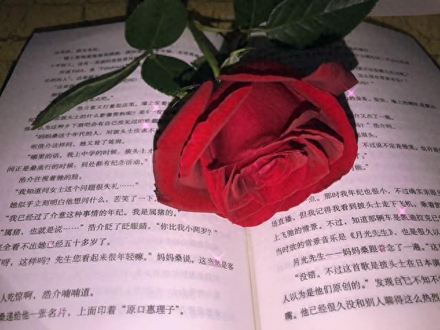 《“我妈说你配不上我”，听完这句话我撕了3年的恋爱日记》