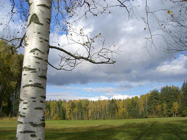 留学之学习日记（41）——同学都要走了，让人伤感！