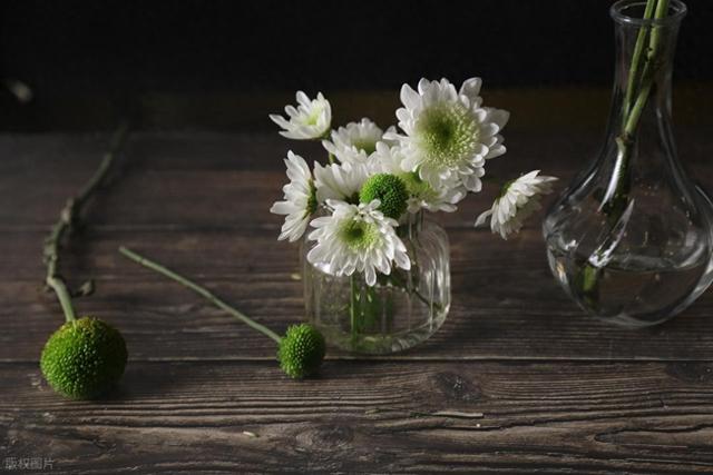 很经典的15条人生哲理，看完受益一生！