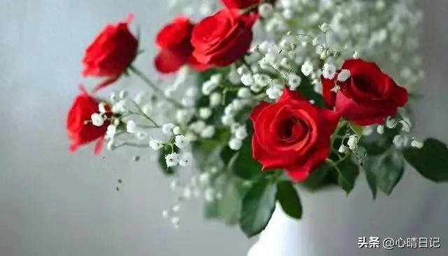 人这一辈子到底靠拼出来的还是定数？云南这篇＂心情日记＂火了