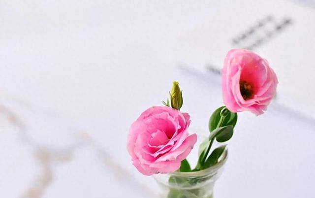 受益终身！15条经典人生哲理